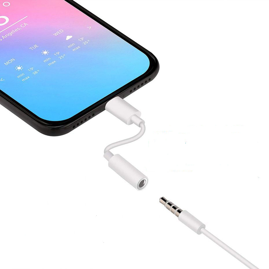 iPhone zu AUX Adapter