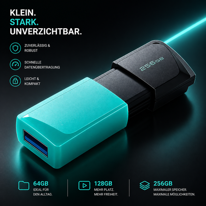 MobileKing USB-Stick 256GB