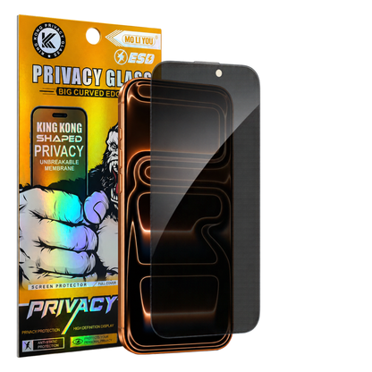 Privacy Blickschutz Panzerfolie für alle iPhone 12 - 17er Reihe
