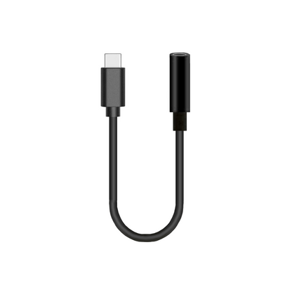 USB-C zu AUX Adapter