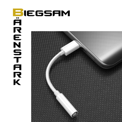 USB-C zu AUX Adapter